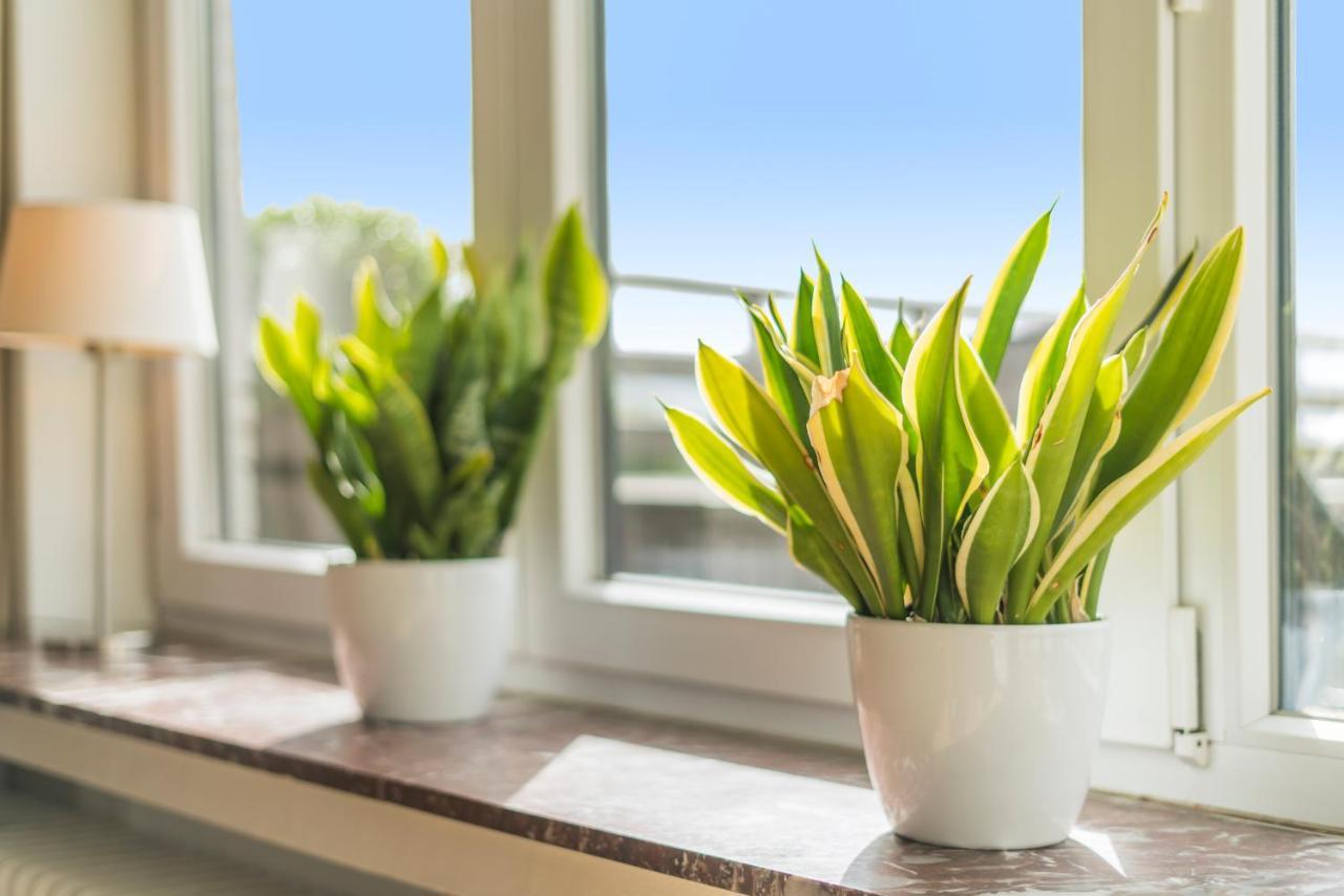 Fuths Penthouse 55 Daire Anvers Dış mekan fotoğraf